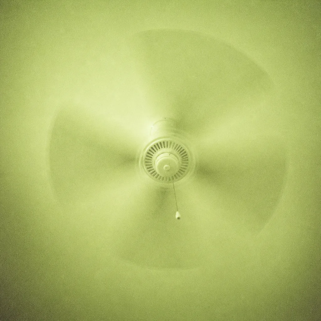Cover of Ceiling Fan by Juno Pike